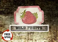QT_END-wildfruits