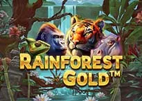 QT_NE-rainforestgold