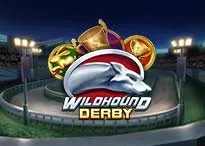 QT_PNG-wildhoundderby