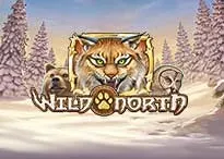 QT_PNG-wildnorth