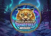 QT_PNG-wildnorthradiantskiesgocollect