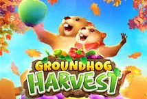 groundhog-harvest